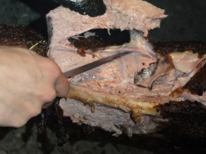 Cordero Junio2011 192